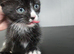 Reduced!! Need homes asap