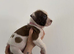 (READY IN ONE WEEK) American Bulldog puppies
