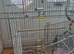 Large bird cage