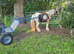 13hh mare
