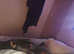 7 month old female doberman