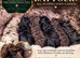 5 Star Miniature Poodle Puppies have arrived
