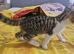 Male kitten