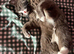 URGENT HOME NEEDED!