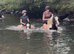 3X Gypsy Cobs 12.2/3H - 5-6Yo - Riding Mares & Geldings To Suit Anyone