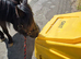 4yo 11.2hh Dartmoor Gelding
