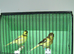 Pair Of Fife Canaries £40 The Pair