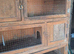 6ft x 4ft bank of hutches