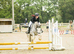 13.3 AllRounder Cob Mare