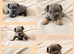 Pati's Prestige Pups- KC registered French Bulldog puppies