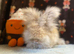 English angora