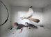 13 Zebra finch Mix lot of colour mutations