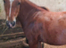 Wanted loan/part loan