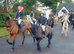 14.1 mare Welsh D X Fell