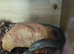Pair legless lizards