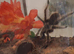 Curly Haired Tarantula