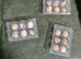 White jumbo and jumbo brown quails eggs