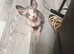 Male Sphynx Pied kittens for sale