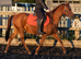 13hh Project pony.