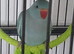 Indian Ringneck Glasgow