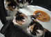 Calico male kitten