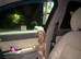 Miniature Dachshund