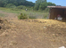 Field barn yard