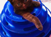 We have 5 Pure breed Scottish Fold kittens!