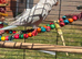 Qucker parrot