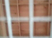Brand new pigeon kit box with fifteen perches