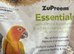 Conure semi tame