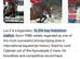 Top class prospect, 3yr Gelding