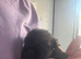Stunning litter of kc reg border terriers mum and dad can be seen.