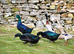 6 X cayuga/Indian runner Hatching eggs (Mixed)