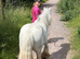 Rising 4 year old to make 14 hands grey gorgeous gypsum cob mare
