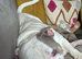 Beautiful Pocket Bully