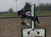 13hh cob