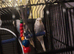 For sale 3 female budgies