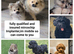 Petscanner mircochip Implanter