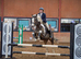 Muirdrum Cruz - Stallion