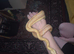 Cb25 albino motley female boa