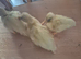 3 white call ducklings