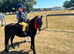 Super Star 11hh Black Pony - Confidence Giver & All-Rounder!