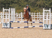 Pony club super star