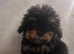 Adorable f2b cockapoo puppies for sale