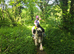 Dun and white cob mare 14.2