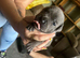 Lovely litter