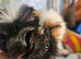 2 baby guineapigs
