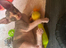 Beautiful Sphynx kittens for sale