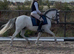 Absolute top class Welsh section A mare ready to go to the top!